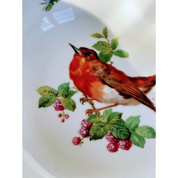Vintage Germany Porcelain Bowl Robin Bird Lady Bug Fly - Picture 6 of 7